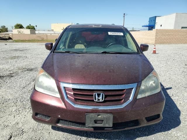 2010 Honda Odyssey EXL