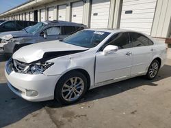 Salvage cars for sale at Louisville, KY auction: 2010 Lexus ES 350