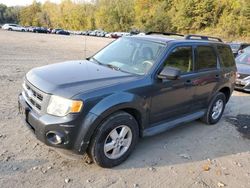 Salvage cars for sale from Copart Marlboro, NY: 2009 Ford Escape XLT