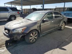 2008 Honda Accord EXL en venta en Anthony, TX