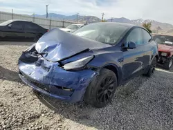 Tesla Vehiculos salvage en venta: 2023 Tesla Model Y