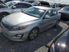 2014 KIA Optima Hybrid