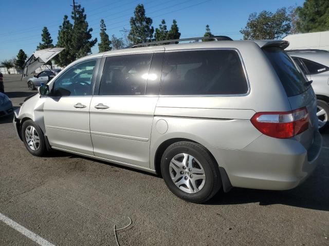 2005 Honda Odyssey EXL