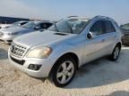 2010 Mercedes-Benz ML 350