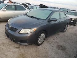 Toyota salvage cars for sale: 2010 Toyota Corolla Base