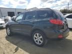 2009 Hyundai Santa FE SE