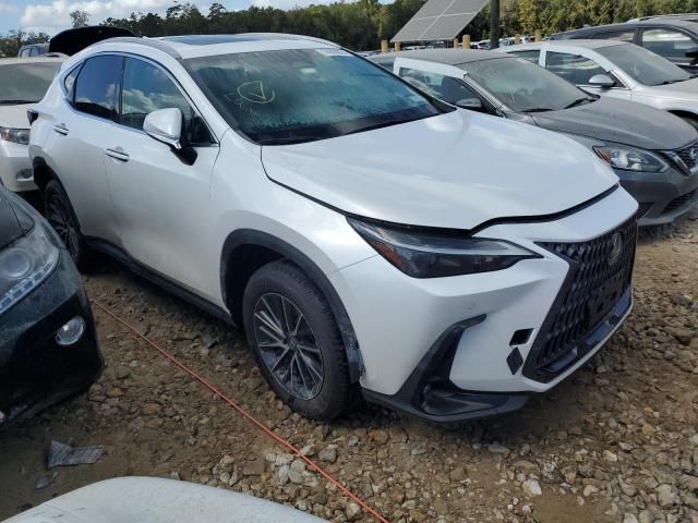 2022 Lexus NX 350