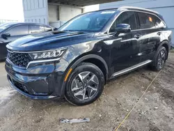 Salvage cars for sale at auction: 2023 KIA Sorento EX