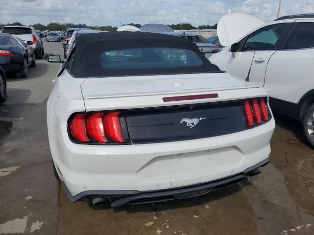 2019 Ford Mustang