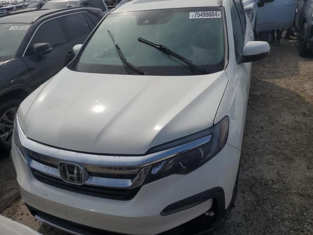 2019 Honda Pilot EXL