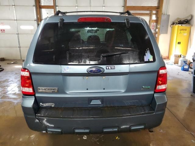 2011 Ford Escape XLT