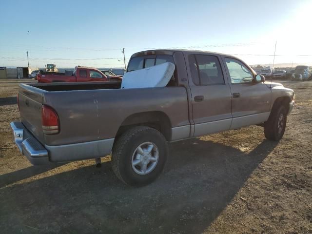 2000 Dodge Dakota Quattro