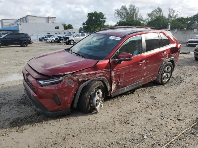 2023 Toyota Rav4 XLE