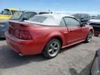 2002 Ford Mustang GT