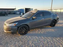 2009 Honda Accord EXL en venta en Andrews, TX