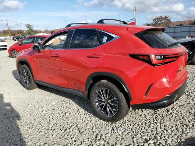 2023 Lexus NX 350H