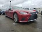 2024 Lexus LS 500 Base