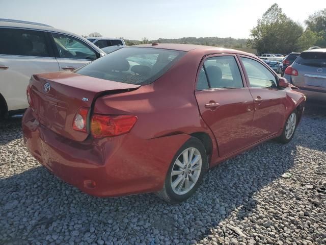 2009 Toyota Corolla Base