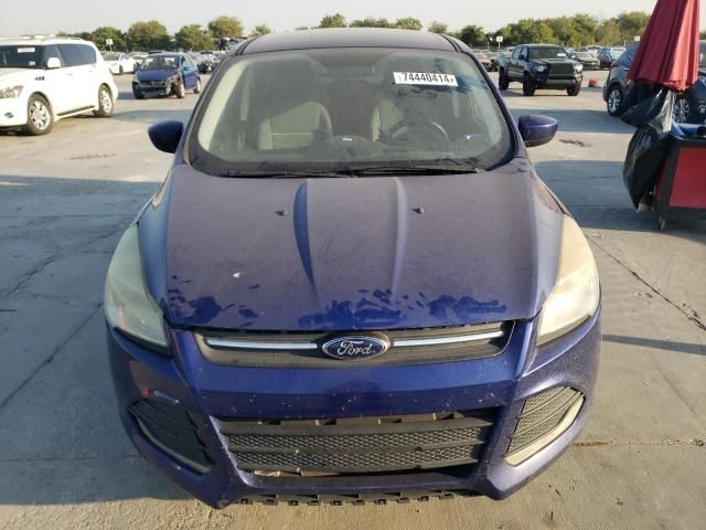 2013 Ford Escape SE