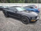 2005 Ford Mustang GT