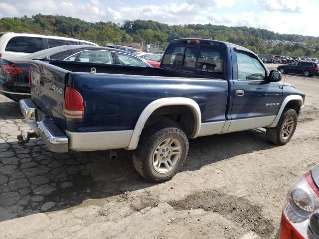 2001 Dodge Dakota