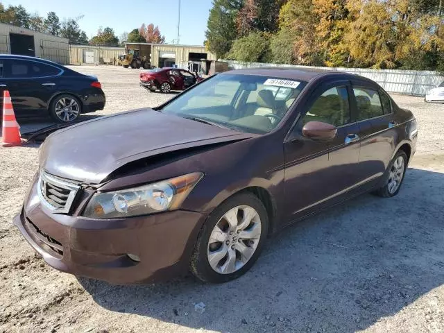 2010 Honda Accord EXL