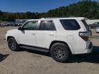 2020 Toyota 4runner SR5/SR5 Premium