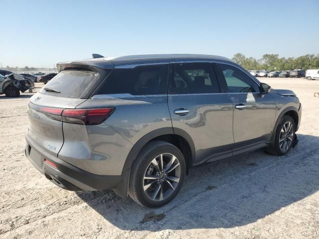 2024 Infiniti QX60 Luxe