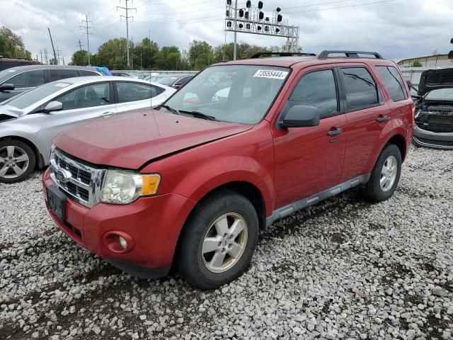 2010 Ford Escape XLT