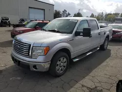 Ford salvage cars for sale: 2010 Ford F150 Supercrew