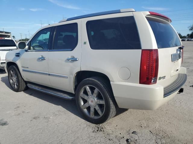 2009 Cadillac Escalade Hybrid