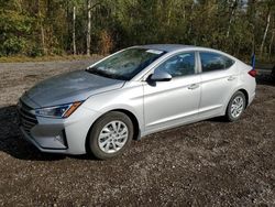 2020 Hyundai Elantra SE en venta en Cookstown, ON