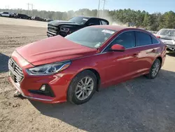 2019 Hyundai Sonata SE en venta en Greenwell Springs, LA