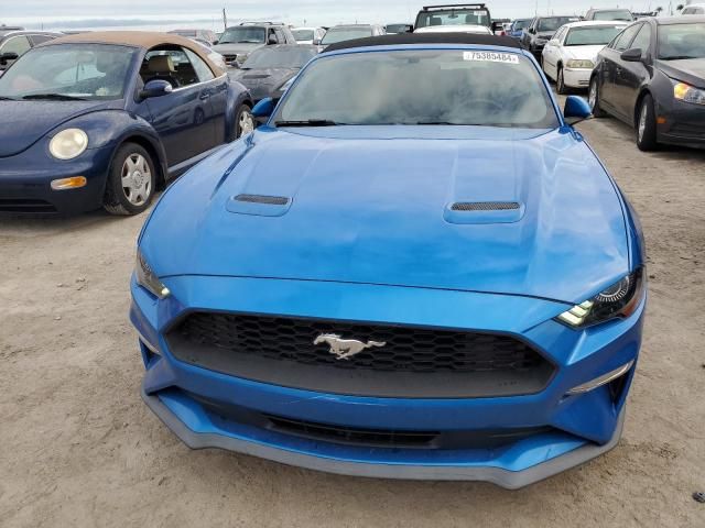 2019 Ford Mustang