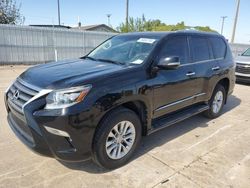 Lexus Vehiculos salvage en venta: 2017 Lexus GX 460