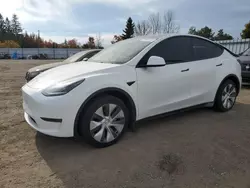 Salvage cars for sale at Bowmanville, ON auction: 2023 Tesla Model Y