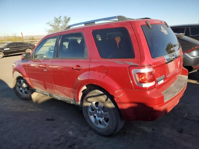 2011 Ford Escape Limited