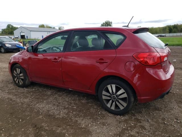 2013 KIA Forte EX