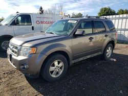 Salvage cars for sale at Bowmanville, ON auction: 2012 Ford Escape XLT