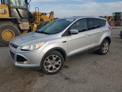 Salvage cars for sale at Harleyville, SC auction: 2013 Ford Escape SEL