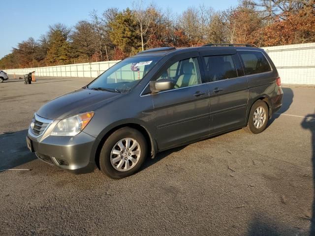 2008 Honda Odyssey EXL