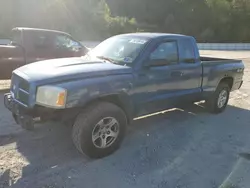 Salvage cars for sale at Hurricane, WV auction: 2006 Dodge Dakota SLT