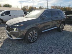 2023 Hyundai Santa FE Calligraphy en venta en Columbus, OH