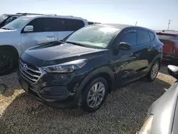 Salvage cars for sale at Arcadia, FL auction: 2017 Hyundai Tucson SE