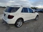 2008 Mercedes-Benz ML 350