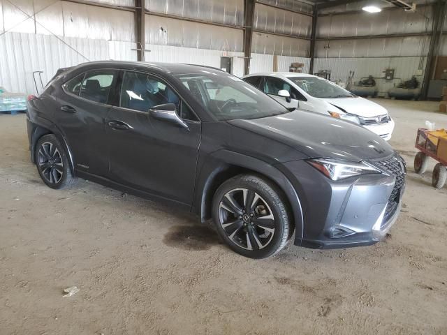 2022 Lexus UX 250H Base