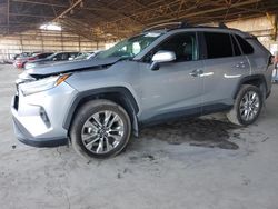 Salvage cars for sale at Phoenix, AZ auction: 2024 Toyota Rav4 XLE Premium