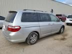 2005 Honda Odyssey EXL