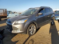 Salvage cars for sale at Brighton, CO auction: 2014 Ford Escape SE