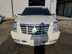 2011 Cadillac Escalade Luxury